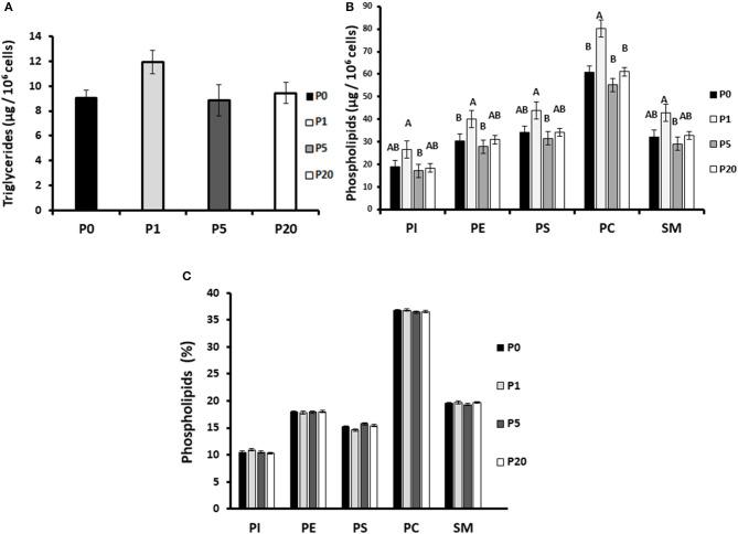 https://cdn.ncbi.nlm.nih.gov/pmc/blobs/d7a1/7509472/1b8f2ff9c553/fendo-11-00596-g0008.jpg