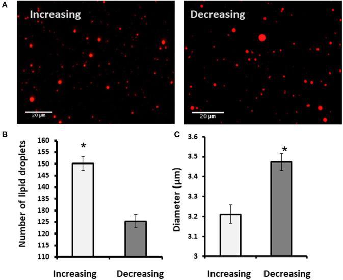 https://cdn.ncbi.nlm.nih.gov/pmc/blobs/d7a1/7509472/44892a3fb472/fendo-11-00596-g0006.jpg