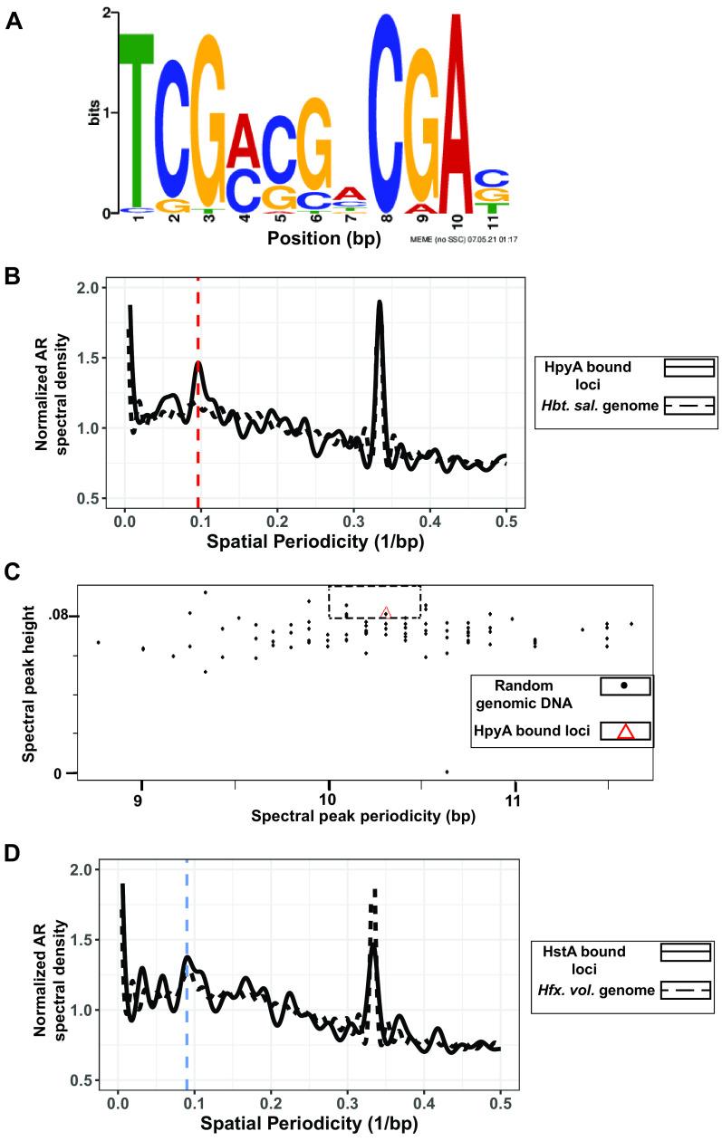 https://cdn.ncbi.nlm.nih.gov/pmc/blobs/d7a2/10128011/d595e3084f91/mbio.03449-22-f006.jpg
