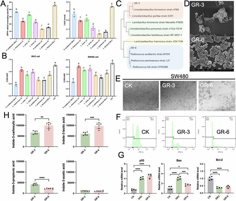 https://cdn.ncbi.nlm.nih.gov/pmc/blobs/d7a3/11379937/2c6deceda50a/41538_2024_307_Fig1_HTML.jpg