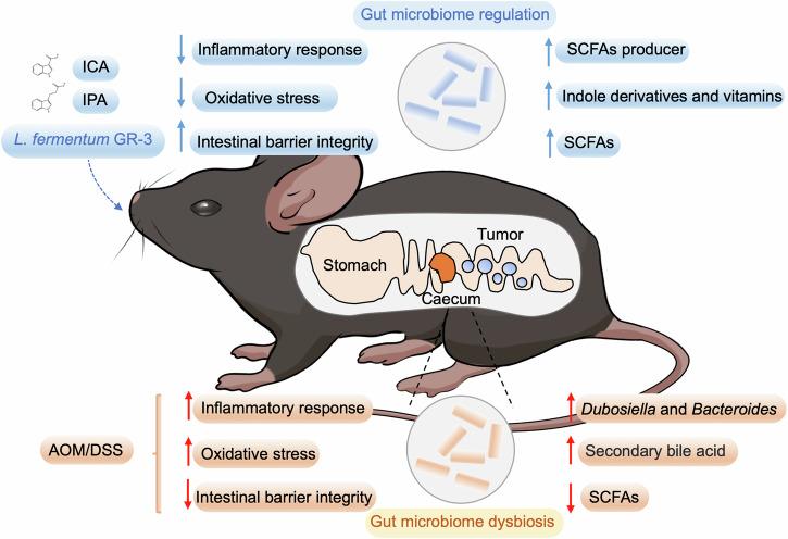 https://cdn.ncbi.nlm.nih.gov/pmc/blobs/d7a3/11379937/b00399d0ee68/41538_2024_307_Fig7_HTML.jpg