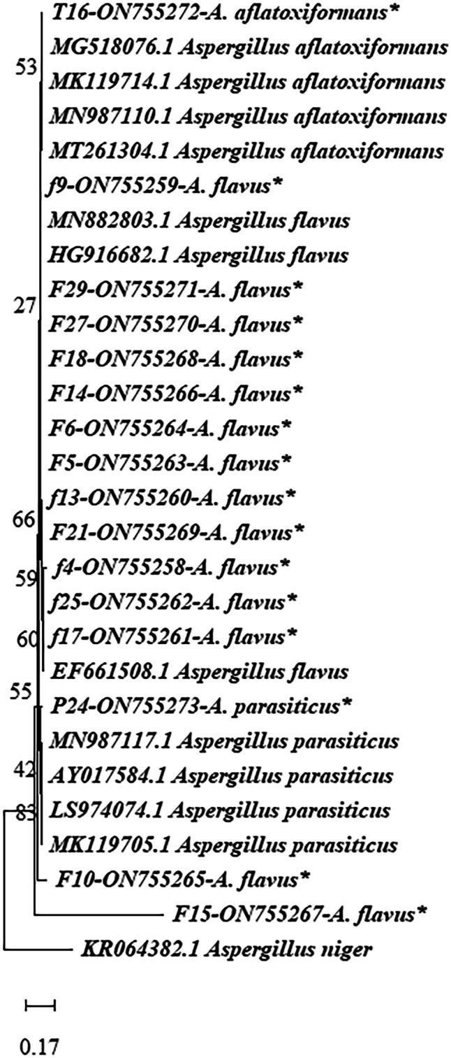 https://cdn.ncbi.nlm.nih.gov/pmc/blobs/d7a5/10834605/fd3b9ec122f9/12550_2023_514_Fig4_HTML.jpg