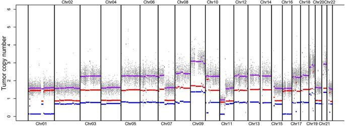 https://cdn.ncbi.nlm.nih.gov/pmc/blobs/d7a5/12257603/767ac32963e9/EO-25-0030fig1.jpg