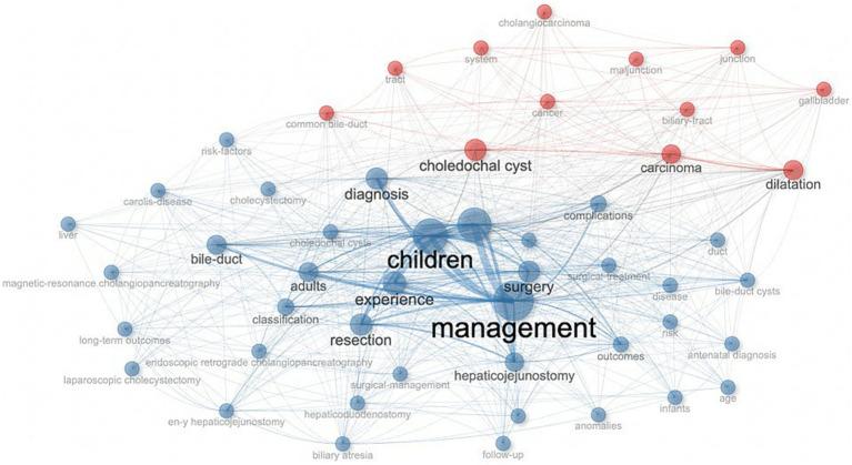 https://cdn.ncbi.nlm.nih.gov/pmc/blobs/d7a5/12289569/112eea8f2b95/fmed-12-1611045-g009.jpg