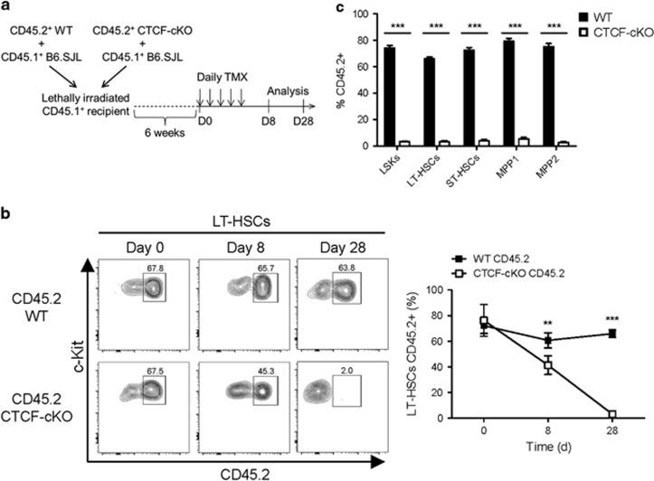 https://cdn.ncbi.nlm.nih.gov/pmc/blobs/d7a5/5579513/17a5ec328815/emm2017124f4.jpg