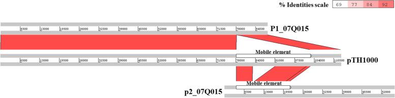 https://cdn.ncbi.nlm.nih.gov/pmc/blobs/d7a6/10124037/51bb58aad474/13100_2023_292_Fig1_HTML.jpg