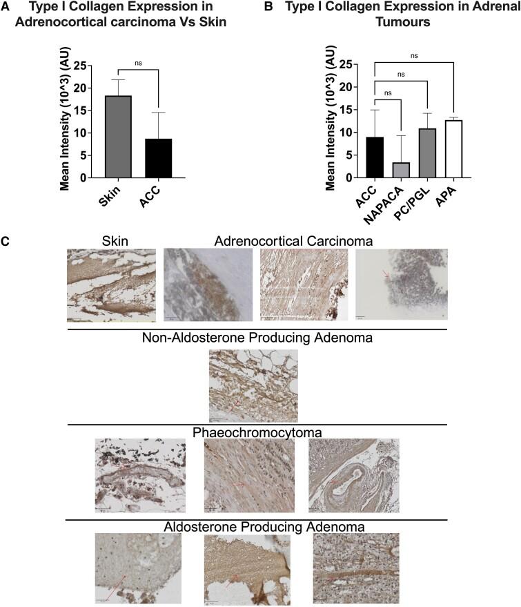 https://cdn.ncbi.nlm.nih.gov/pmc/blobs/d7aa/11650001/dc33bfca517e/bqae159f1.jpg