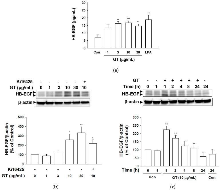 https://cdn.ncbi.nlm.nih.gov/pmc/blobs/d7ab/10531430/064e420d02c5/ijms-24-14094-g005.jpg
