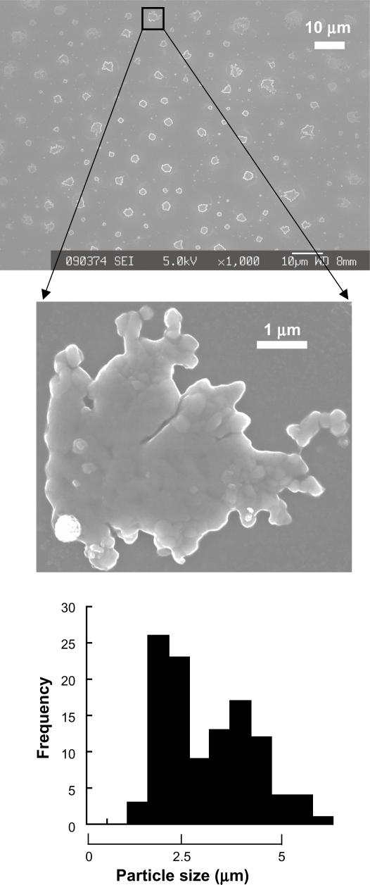 https://cdn.ncbi.nlm.nih.gov/pmc/blobs/d7ad/2865009/3e7162c93b78/ijn-5-147f2.jpg