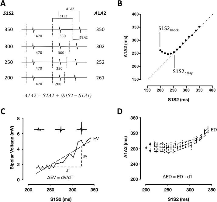 https://cdn.ncbi.nlm.nih.gov/pmc/blobs/d7ad/5612260/0c86364da640/gr1.jpg