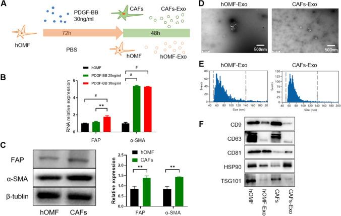https://cdn.ncbi.nlm.nih.gov/pmc/blobs/d7ae/10480386/a3ff9b23d2e6/12672_2023_753_Fig1_HTML.jpg