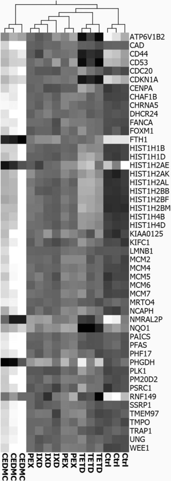 https://cdn.ncbi.nlm.nih.gov/pmc/blobs/d7ae/11669566/6e9cf8306e91/COD-92-61-g001.jpg