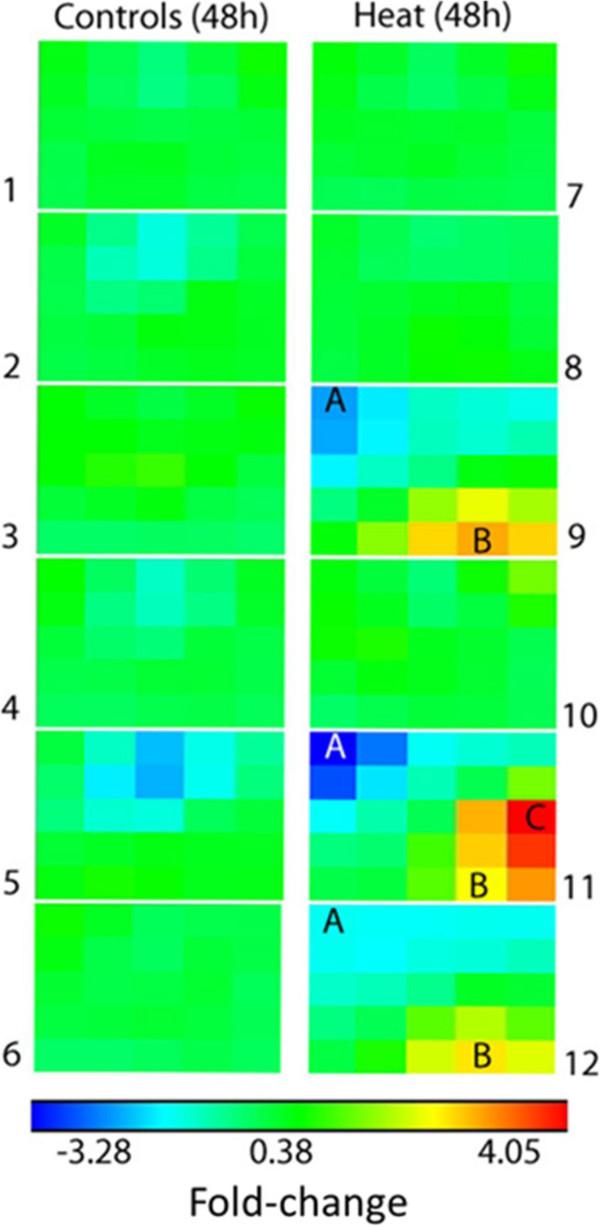 https://cdn.ncbi.nlm.nih.gov/pmc/blobs/d7ae/4302131/283cf7a60197/12864_2014_6768_Fig3_HTML.jpg