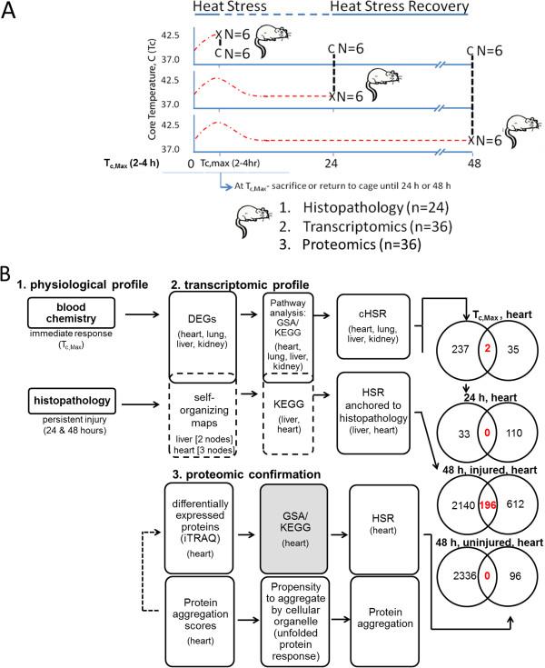 https://cdn.ncbi.nlm.nih.gov/pmc/blobs/d7ae/4302131/b2a7a4d7cc62/12864_2014_6768_Fig1_HTML.jpg