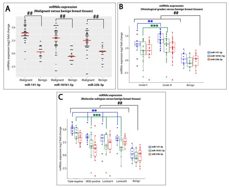 https://cdn.ncbi.nlm.nih.gov/pmc/blobs/d7af/7697480/7d5671a2a3d1/ijms-21-08589-g001.jpg