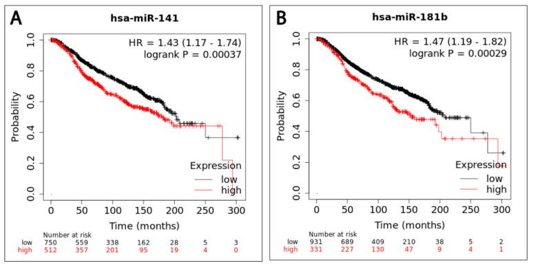 https://cdn.ncbi.nlm.nih.gov/pmc/blobs/d7af/7697480/f20bc778c4e0/ijms-21-08589-g004.jpg