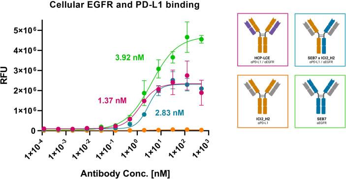 https://cdn.ncbi.nlm.nih.gov/pmc/blobs/d7b2/9036444/0d06b30be18f/fimmu-13-888838-g006.jpg