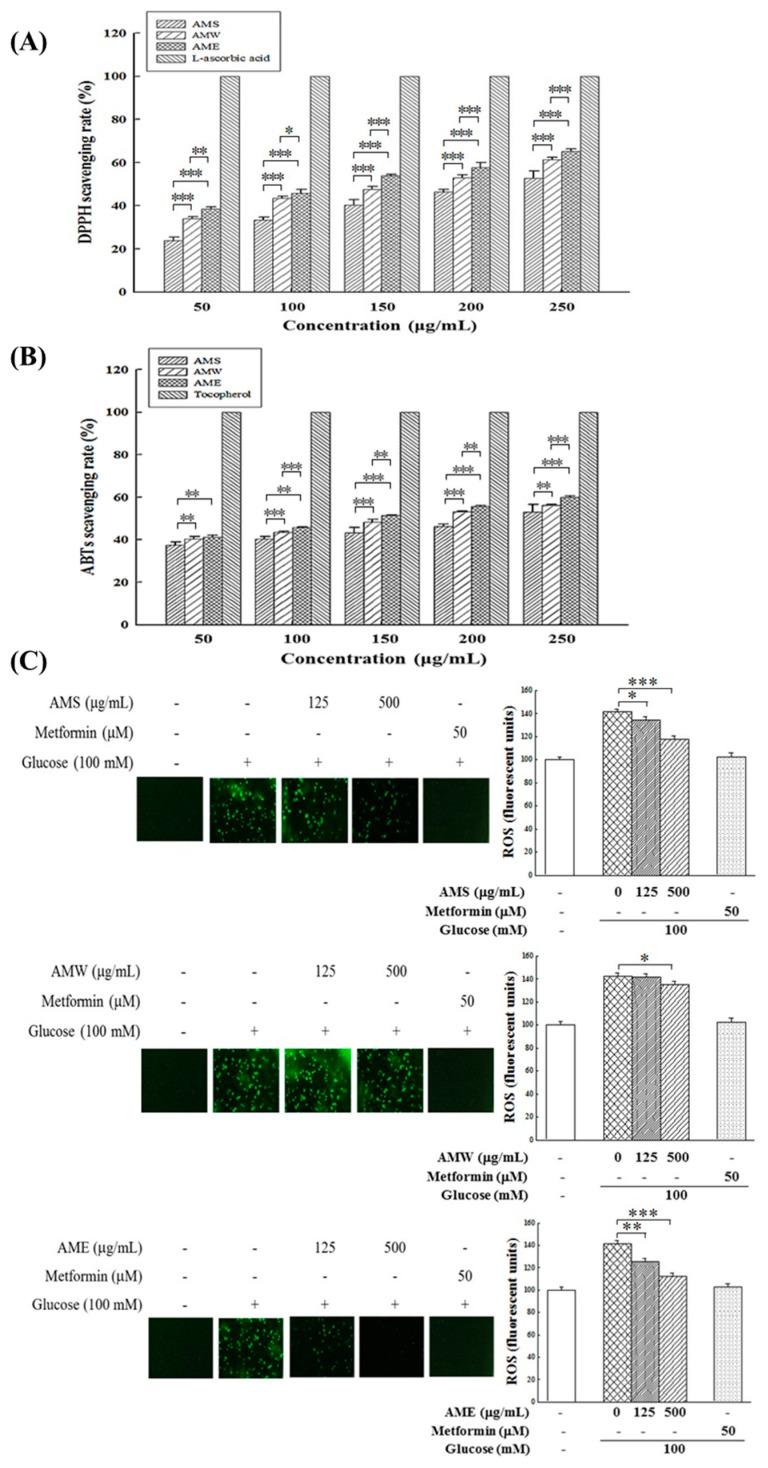 https://cdn.ncbi.nlm.nih.gov/pmc/blobs/d7b3/11356367/17bbad8a5bc2/medicina-60-01211-g005.jpg