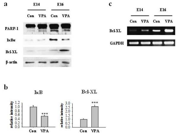 https://cdn.ncbi.nlm.nih.gov/pmc/blobs/d7b5/3158748/239421891fa3/1423-0127-18-48-7.jpg