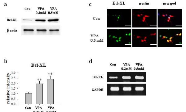 https://cdn.ncbi.nlm.nih.gov/pmc/blobs/d7b5/3158748/4d669306b793/1423-0127-18-48-2.jpg