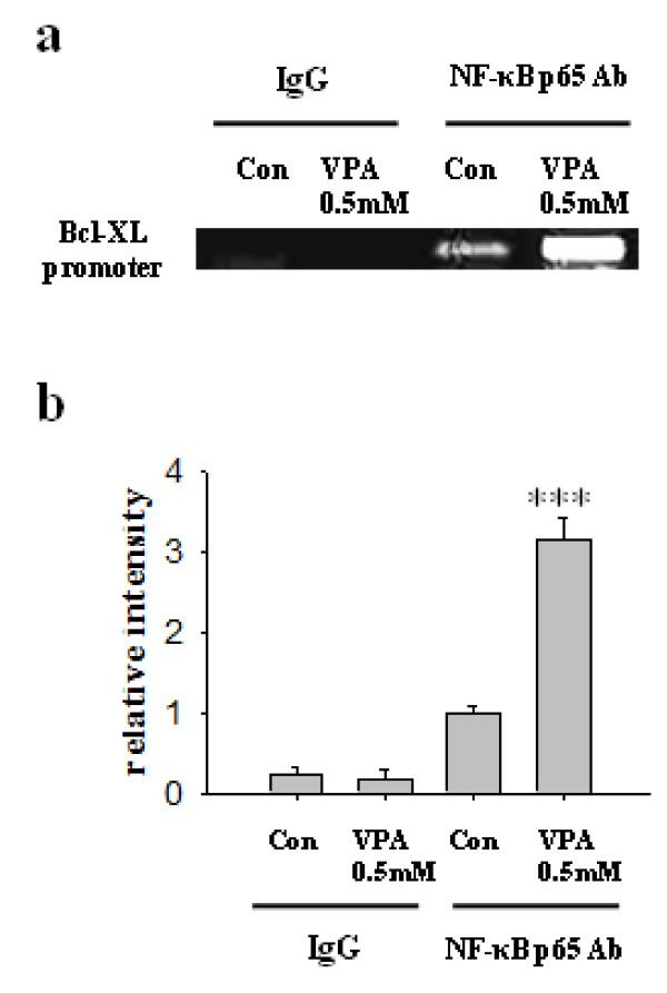 https://cdn.ncbi.nlm.nih.gov/pmc/blobs/d7b5/3158748/aebea271372b/1423-0127-18-48-6.jpg