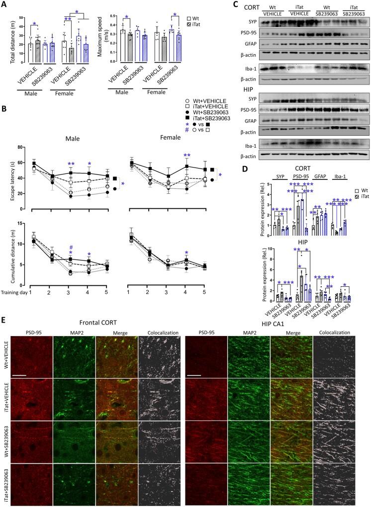 https://cdn.ncbi.nlm.nih.gov/pmc/blobs/d7b6/8677536/a122090e6141/awab251f3.jpg