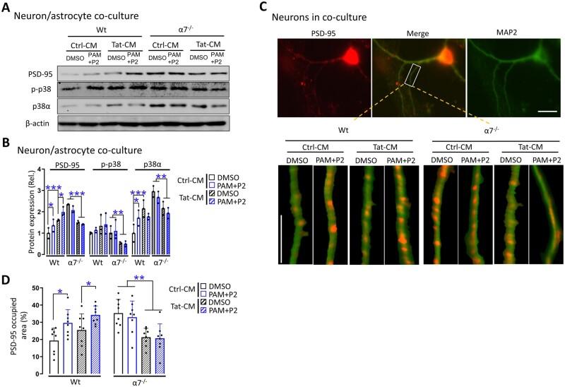 https://cdn.ncbi.nlm.nih.gov/pmc/blobs/d7b6/8677536/be5b3d85aeea/awab251f5.jpg