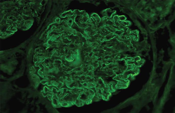 https://cdn.ncbi.nlm.nih.gov/pmc/blobs/d7b8/9677716/6b673299a446/gdz-0001-0010-g03.jpg