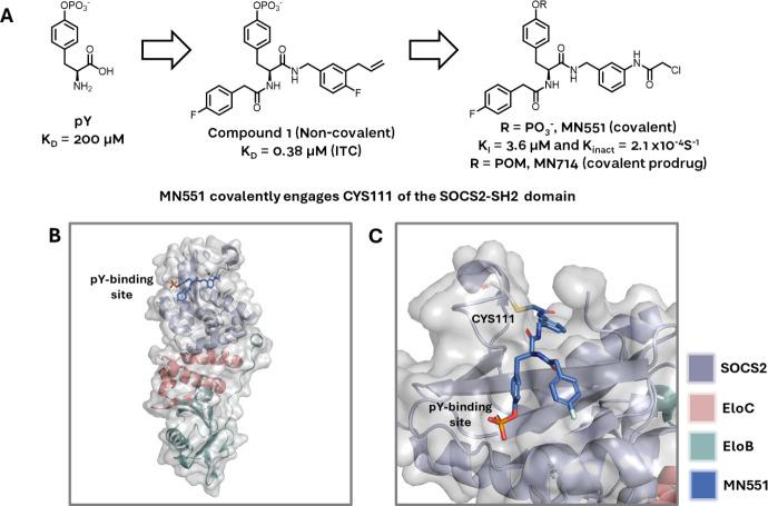 https://cdn.ncbi.nlm.nih.gov/pmc/blobs/d7ba/11638205/d2fec4551a9c/fimmu-15-1449397-g004.jpg