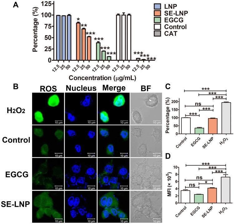 https://cdn.ncbi.nlm.nih.gov/pmc/blobs/d7ba/9901454/162a93e91f19/IJN-18-579-g0004.jpg