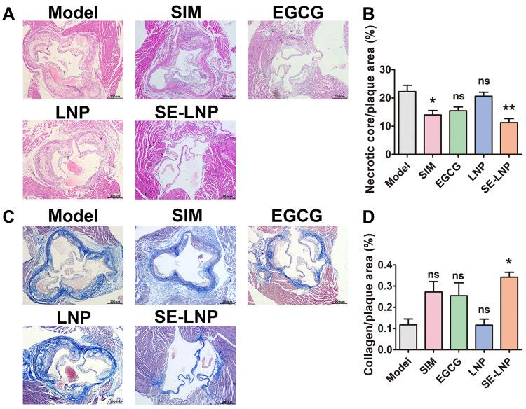 https://cdn.ncbi.nlm.nih.gov/pmc/blobs/d7ba/9901454/5455413b8a37/IJN-18-579-g0008.jpg