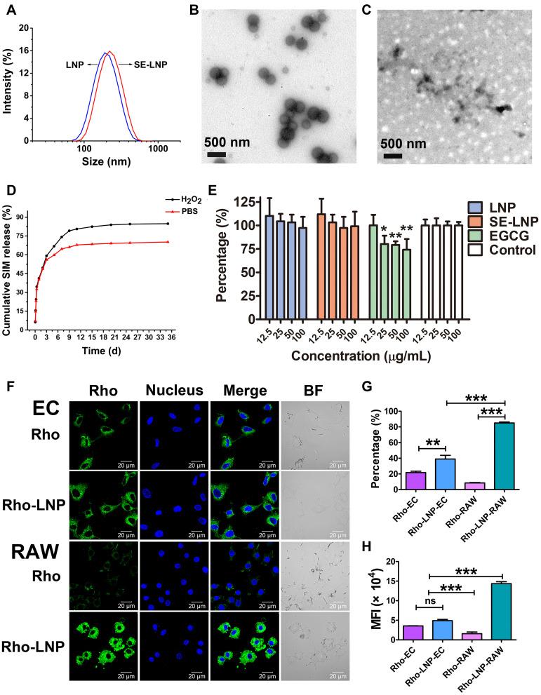 https://cdn.ncbi.nlm.nih.gov/pmc/blobs/d7ba/9901454/69721ae6f45c/IJN-18-579-g0003.jpg
