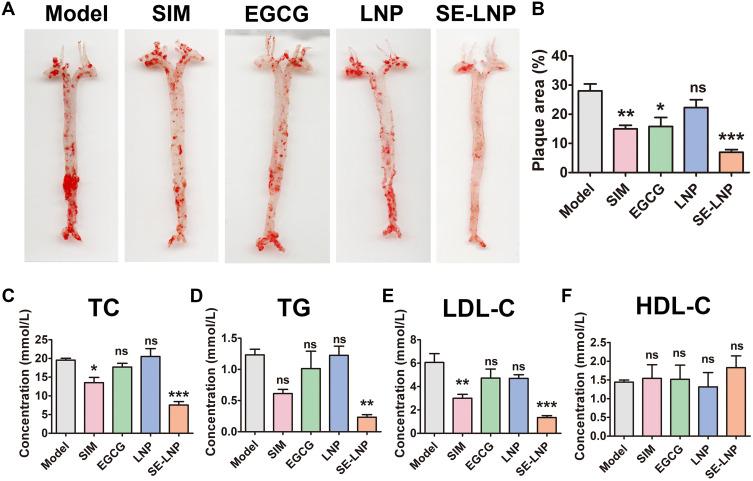 https://cdn.ncbi.nlm.nih.gov/pmc/blobs/d7ba/9901454/bee45275db9d/IJN-18-579-g0007.jpg