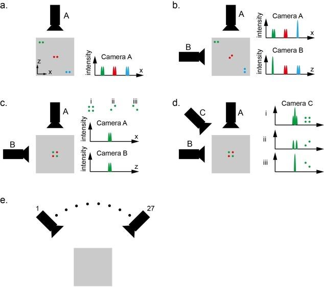https://cdn.ncbi.nlm.nih.gov/pmc/blobs/d7bc/5644961/823c0410a605/elife-28158-resp-fig1.jpg