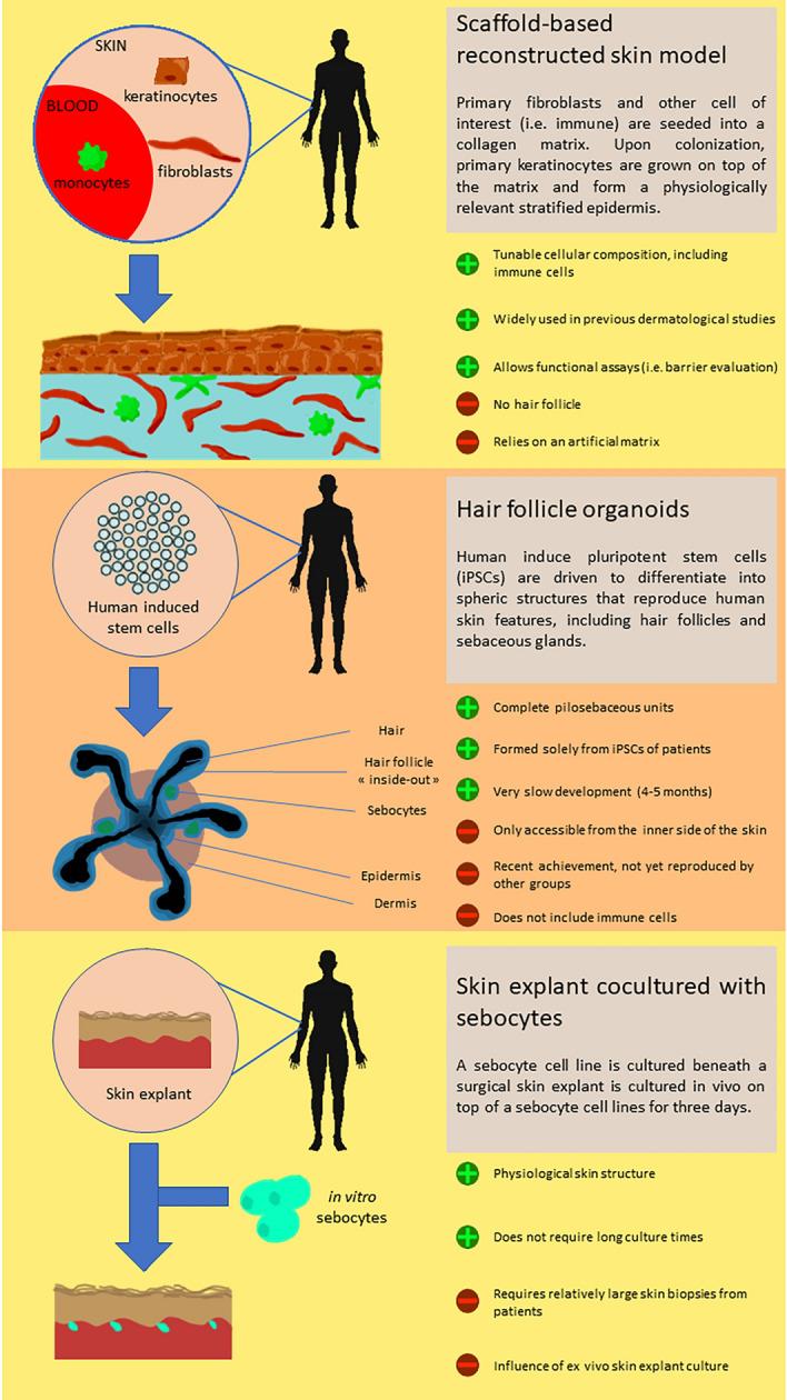 https://cdn.ncbi.nlm.nih.gov/pmc/blobs/d7bd/9120068/3c600c9e09a9/41598_2022_11910_Fig2_HTML.jpg