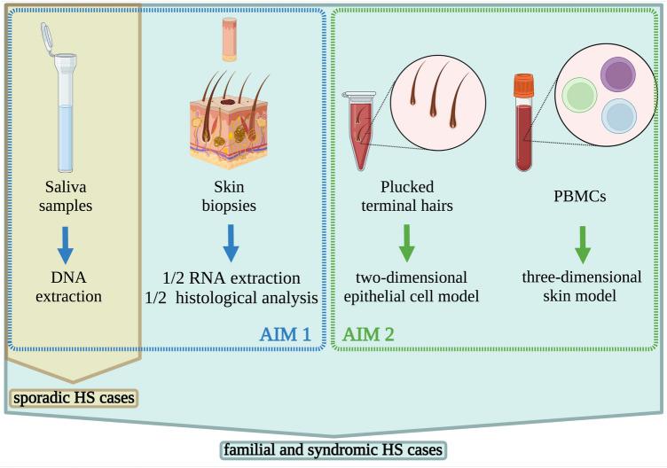 https://cdn.ncbi.nlm.nih.gov/pmc/blobs/d7bd/9120068/9e4be64544f9/41598_2022_11910_Fig1_HTML.jpg
