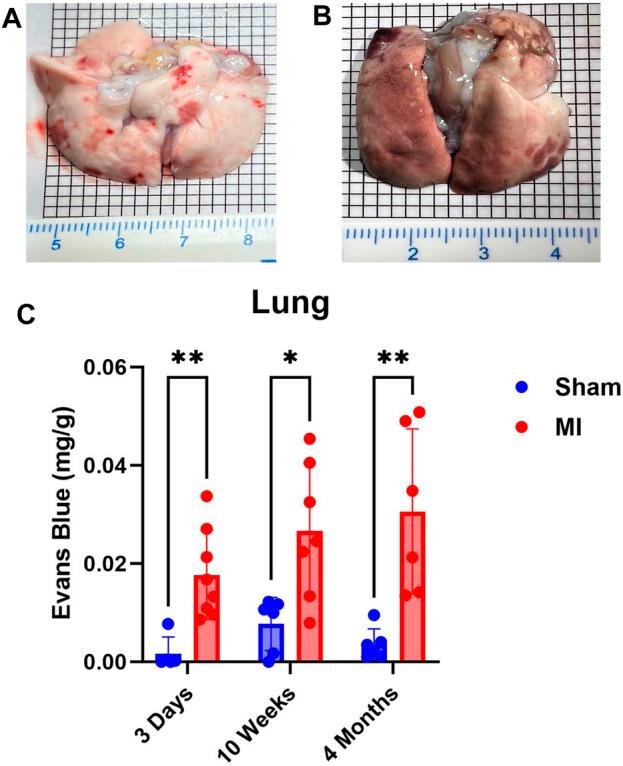 https://cdn.ncbi.nlm.nih.gov/pmc/blobs/d7be/10687360/993c835df183/fphys-14-1288907-g002.jpg