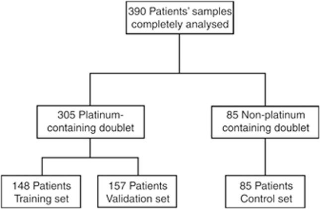 https://cdn.ncbi.nlm.nih.gov/pmc/blobs/d7c1/4453739/f64fa30c13bb/bjc2014492f1.jpg