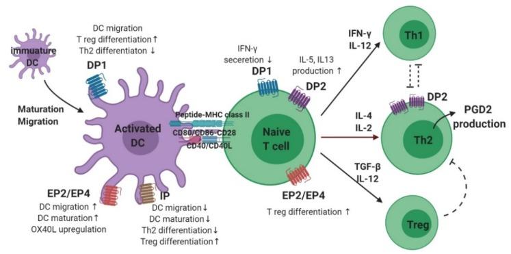 https://cdn.ncbi.nlm.nih.gov/pmc/blobs/d7c1/7084947/7037e6c25906/ijms-21-01851-g003.jpg