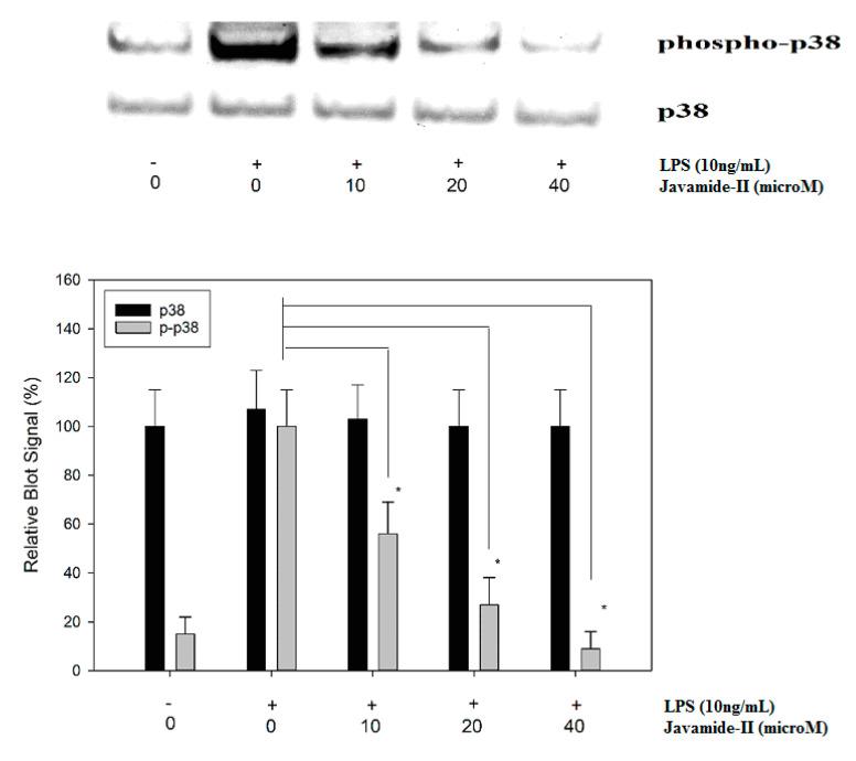 https://cdn.ncbi.nlm.nih.gov/pmc/blobs/d7c3/7344767/f51684f728af/biomedicines-08-00138-g003.jpg