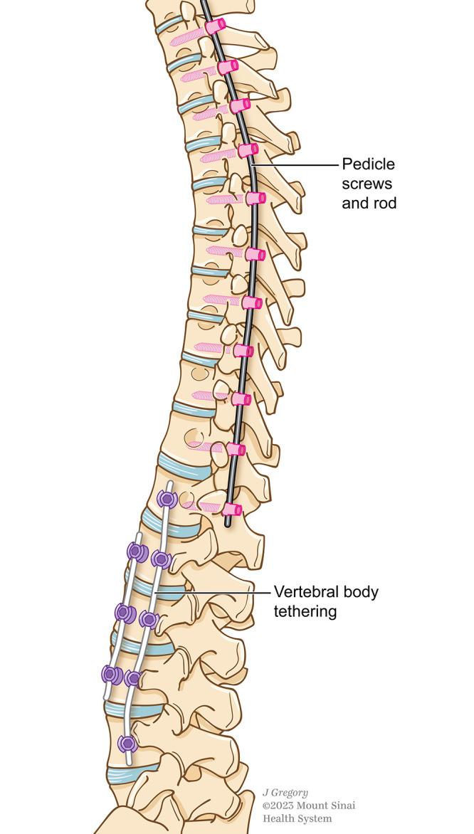 https://cdn.ncbi.nlm.nih.gov/pmc/blobs/d7c4/10566524/cc817bf2b756/CASE23331f1.jpg