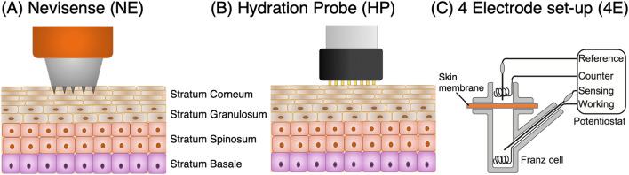 https://cdn.ncbi.nlm.nih.gov/pmc/blobs/d7c5/7557913/3dcb5c23908f/41598_2020_73684_Fig1_HTML.jpg