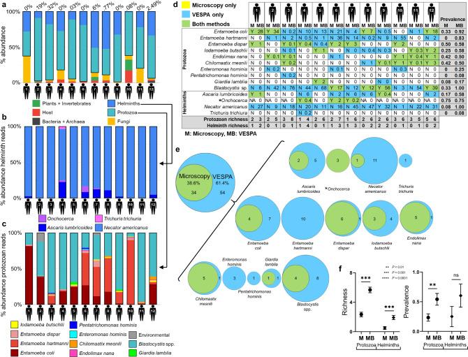 https://cdn.ncbi.nlm.nih.gov/pmc/blobs/d7c7/10776621/6738f06c630b/41467_2023_44521_Fig4_HTML.jpg