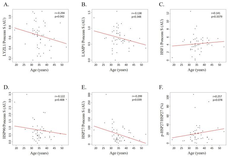https://cdn.ncbi.nlm.nih.gov/pmc/blobs/d7c8/12153847/99988ff3cc71/cells-14-00813-g005.jpg