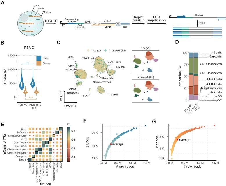 https://cdn.ncbi.nlm.nih.gov/pmc/blobs/d7cb/11724362/be60f99d93b6/gkae1312fig2.jpg