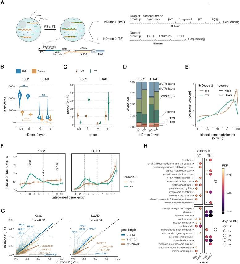 https://cdn.ncbi.nlm.nih.gov/pmc/blobs/d7cb/11724362/c7dc8e1096e8/gkae1312fig3.jpg