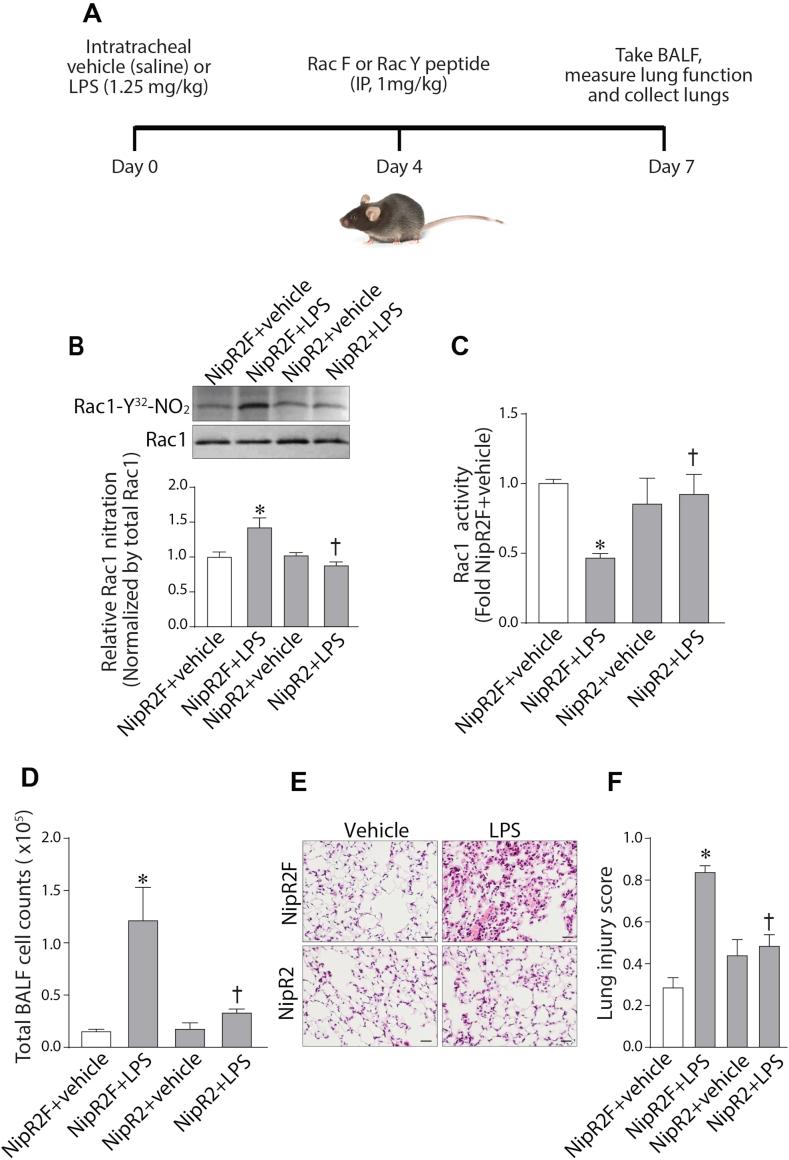 https://cdn.ncbi.nlm.nih.gov/pmc/blobs/d7cc/7695892/10da0e109f91/gr6.jpg