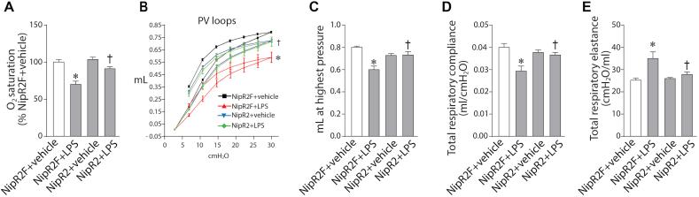 https://cdn.ncbi.nlm.nih.gov/pmc/blobs/d7cc/7695892/35aa9c0a6ffa/gr7.jpg