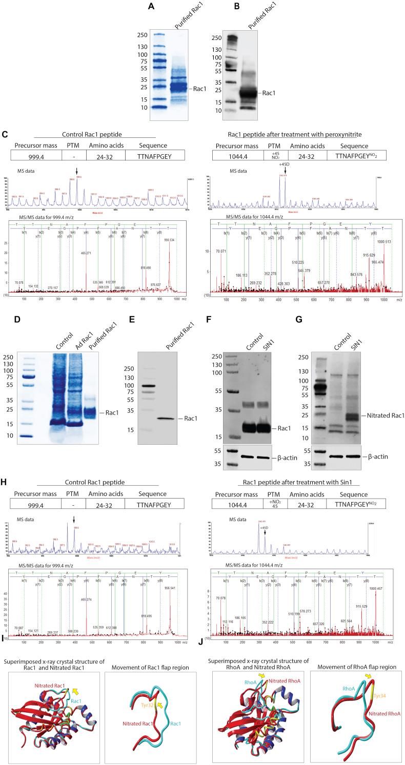 https://cdn.ncbi.nlm.nih.gov/pmc/blobs/d7cc/7695892/aa4e93cc0841/gr2.jpg