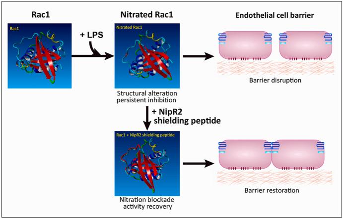 https://cdn.ncbi.nlm.nih.gov/pmc/blobs/d7cc/7695892/cb0e099bd866/fx1.jpg